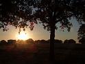 001-Sunset