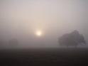 061-Sunrise