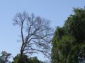 Gary-Schroeder-Memorial-Ride-9-23-2011-078