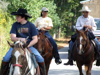 Great Quarter Horse