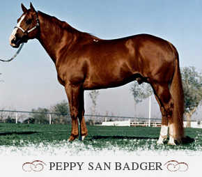 King Ranch