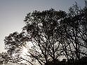 020-Sunrise