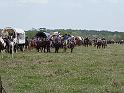 072-Trailride