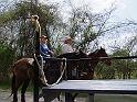090-Trailriders
