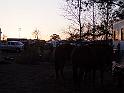 109-Sunrise