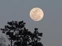 147-Moon