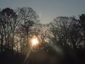 149-Morning