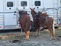 Stampede-Ride-10-22-2011-015