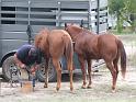 Stampede-Ride-10-22-2011-107