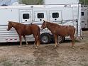 Stampede-Ride-10-22-2011-111