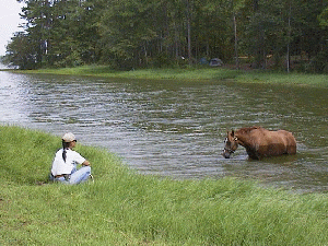 Rio-water3.gif (57635 bytes)