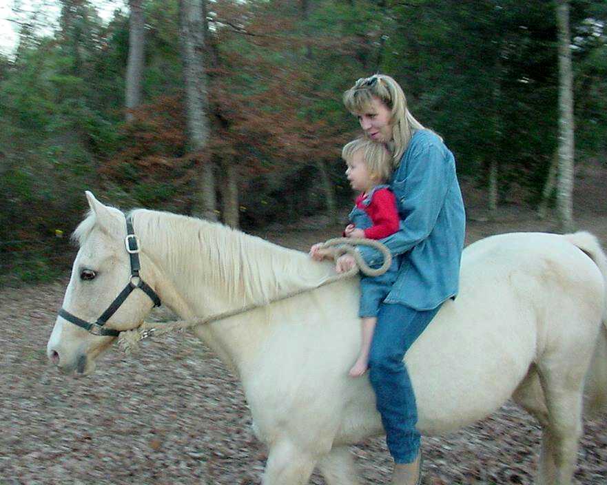 horse rehabilitation