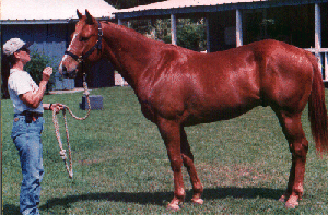 rio-aft.gif (61907 bytes)
